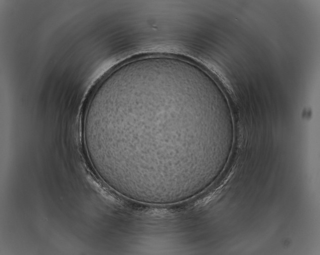 X0000090460982200708031237