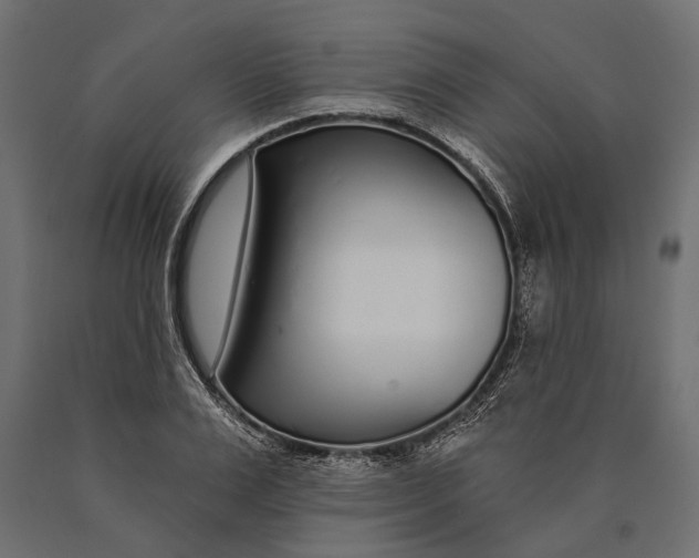 X0000090460983200708031237