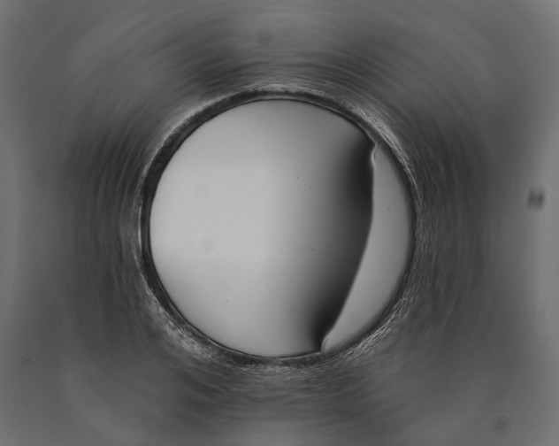 X0000090460984200708031237