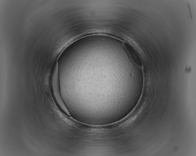 X0000090460985200708031237