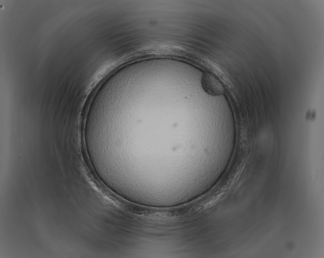 X0000090460986200708031237