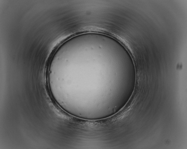 X0000090460987200708031237