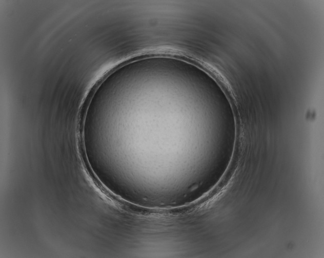 X0000090460989200708031237