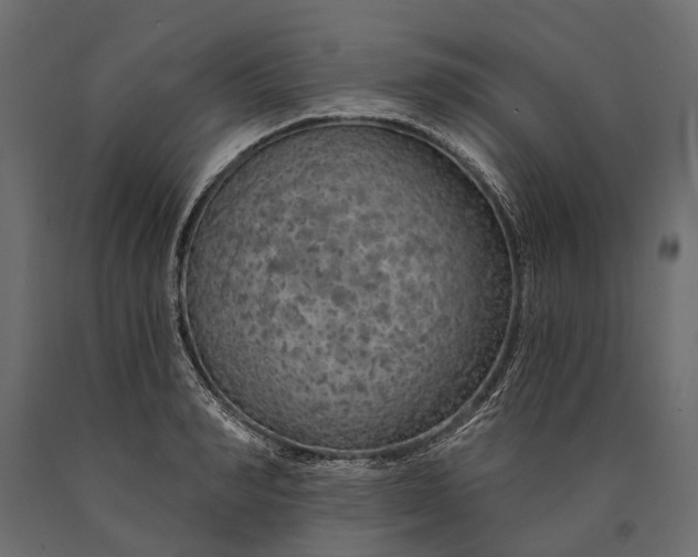 X0000090460990200708031237