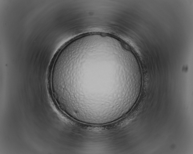 X0000090460991200708031237