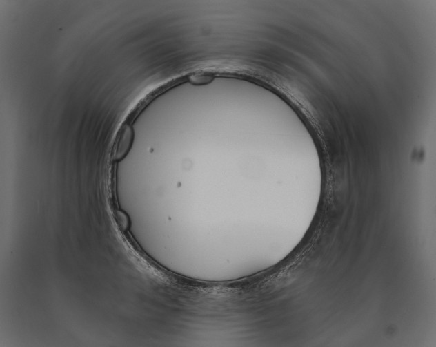 X0000090460992200708031237