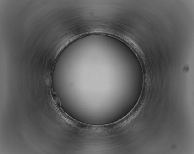 X0000090460993200708031237