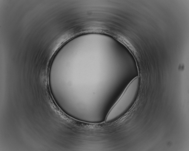 X0000090460994200708031237