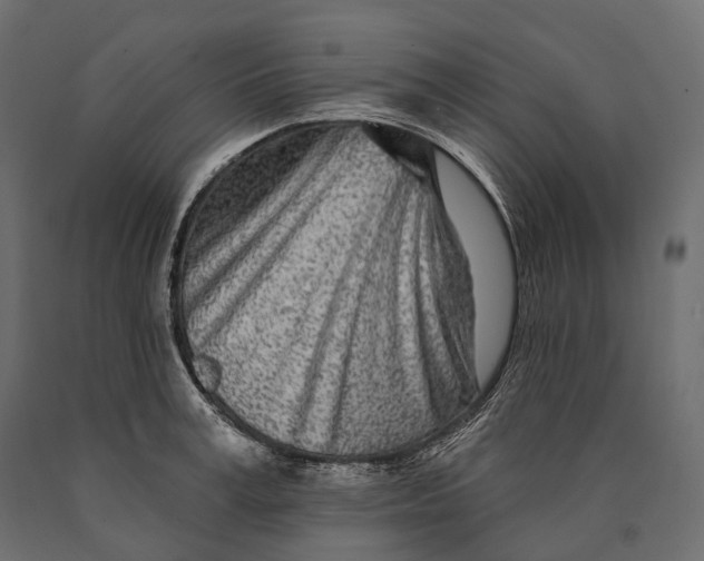 X0000090460995200708031237