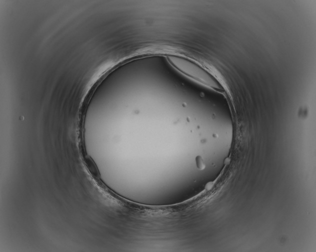 X0000090460997200708031237