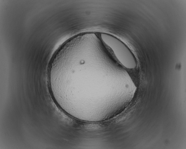 X0000090460998200708031237