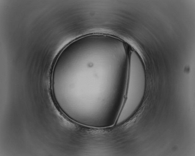 X0000090460999200708031237