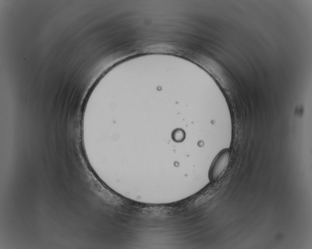 X0000090461000200708031237