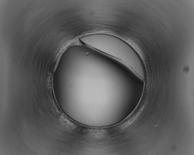 X0000090461001200708031237