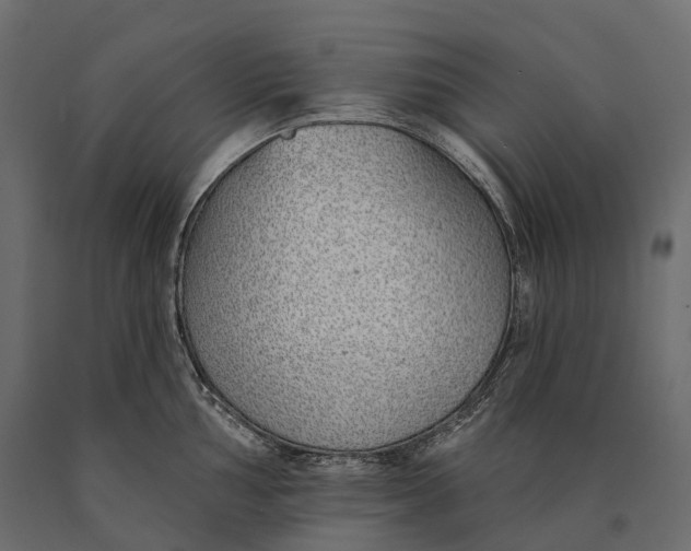 X0000090461002200708031237