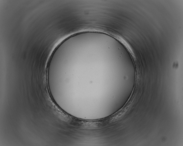 X0000090461004200708031237