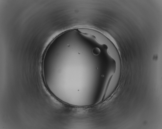 X0000090461005200708031237