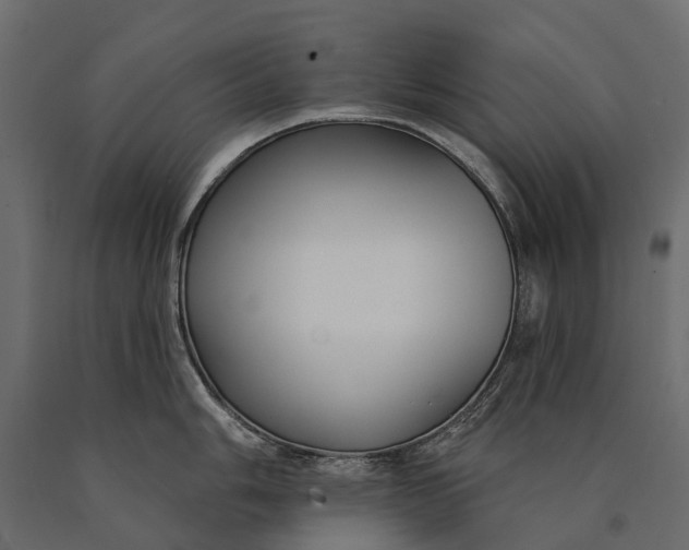 X0000090461006200708031237