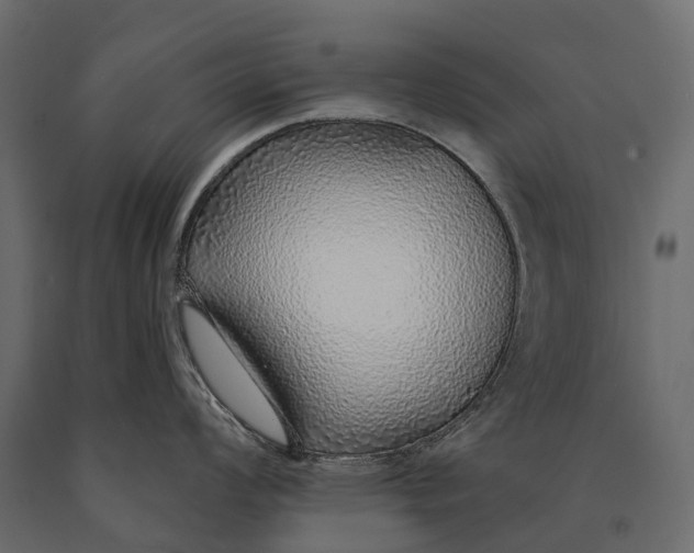 X0000090461008200708031237