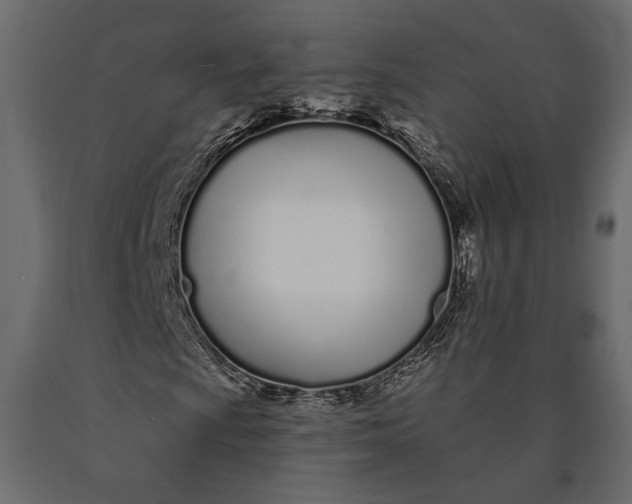 X0000090461009200708031236