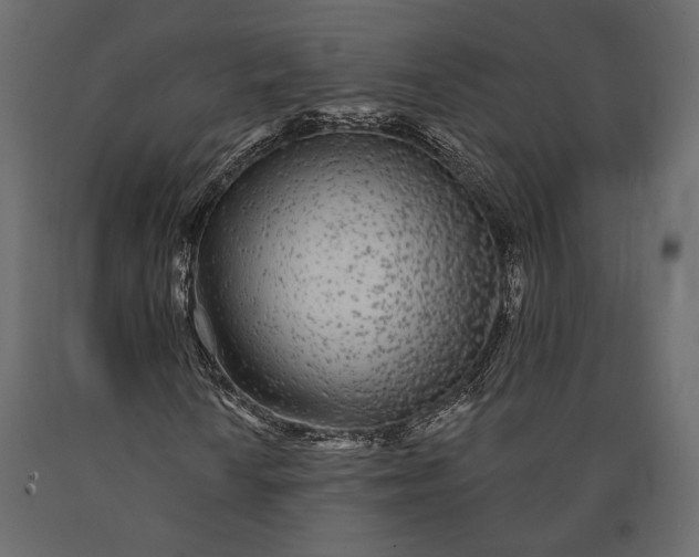 X0000090461010200708031236
