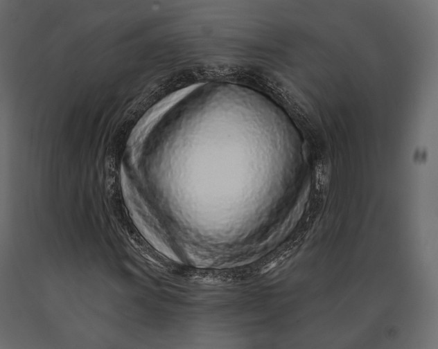 X0000090461011200708031236