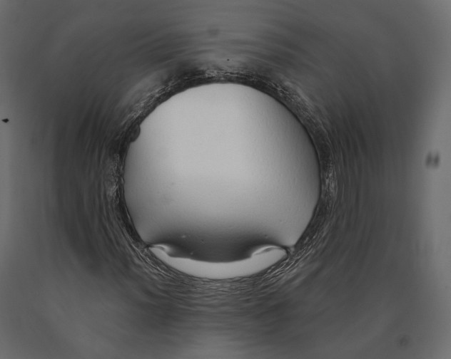X0000090461012200708031236