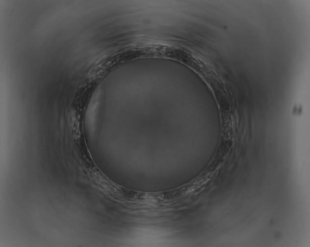 X0000090461013200708031236