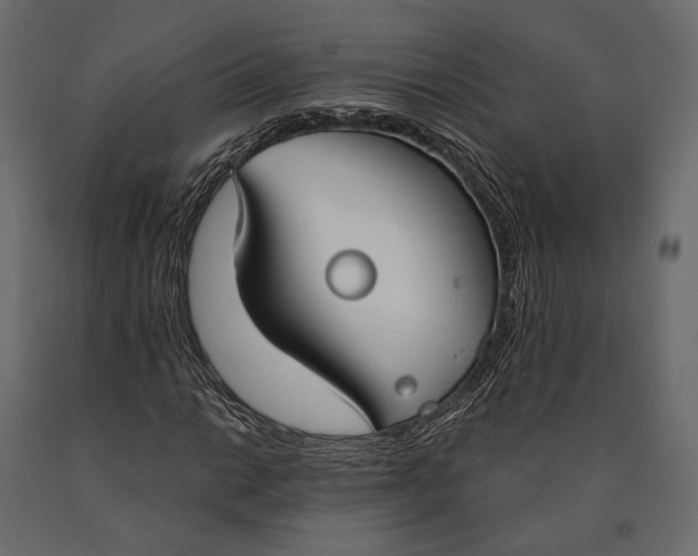 X0000090461014200708031236