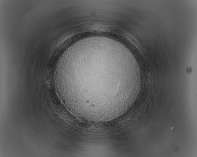 X0000090461015200708031236