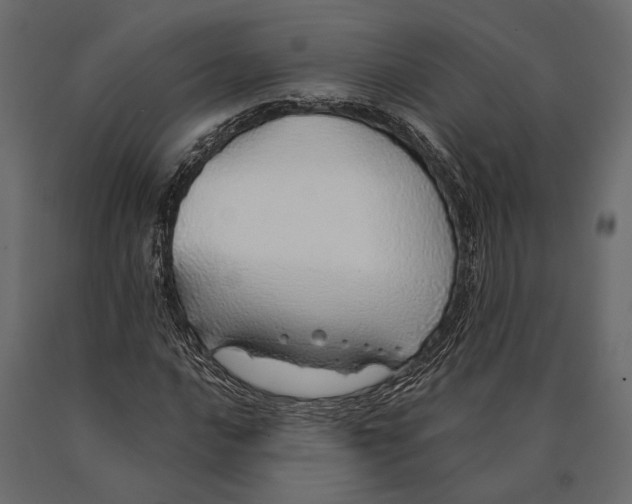 X0000090461016200708031236