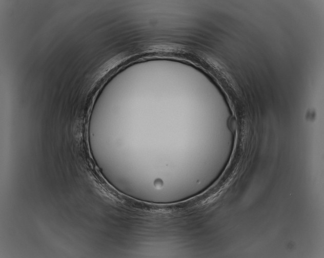 X0000090461017200708031236
