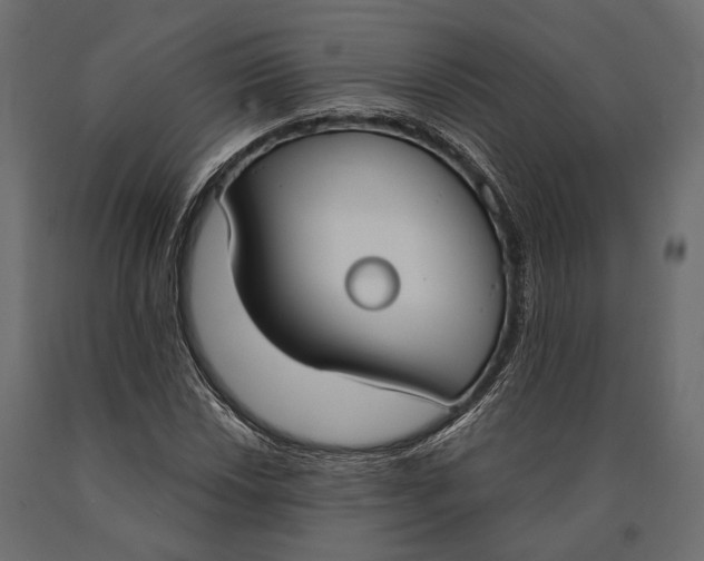 X0000090461018200708031236
