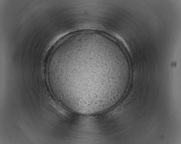 X0000090461019200708031236