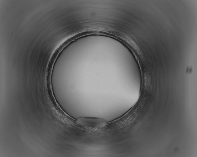 X0000090461020200708031236