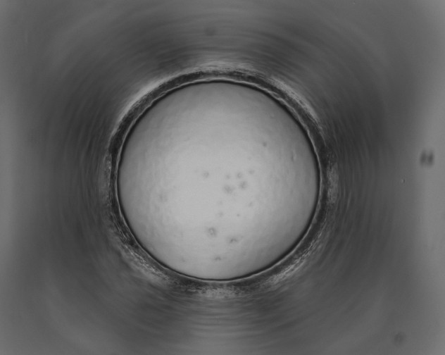 X0000090461021200708031236