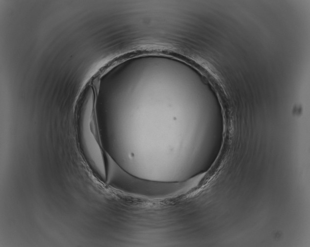 X0000090461022200708031236