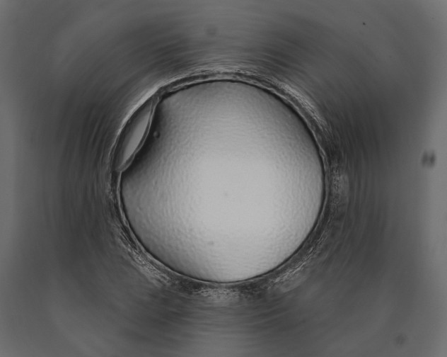 X0000090461023200708031236