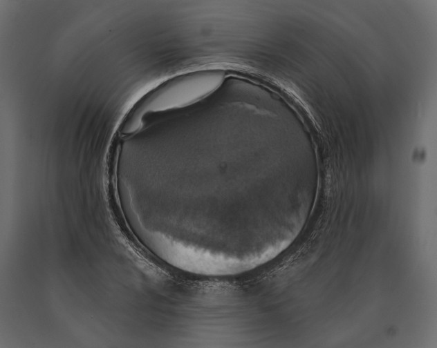 X0000090461024200708031236