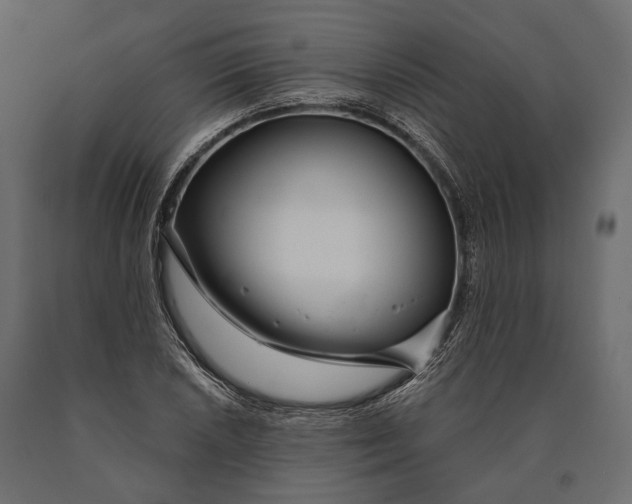 X0000090461026200708031236