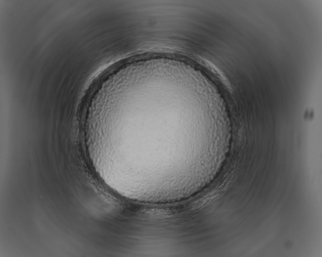 X0000090461027200708031236