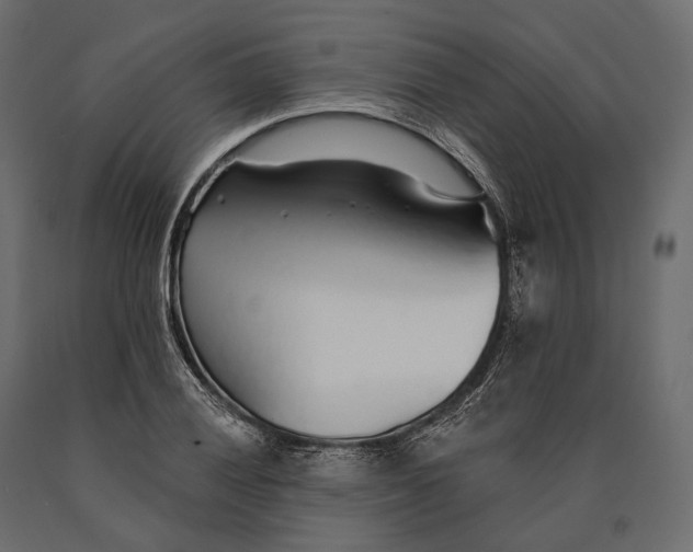 X0000090461028200708031236