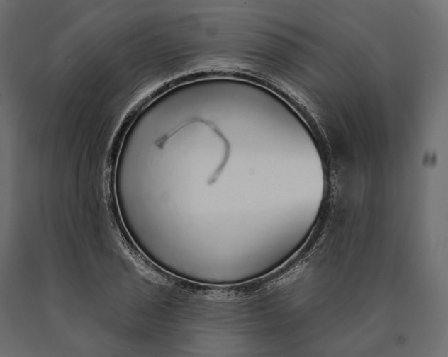 X0000090461029200708031236
