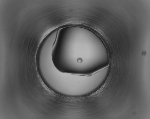X0000090461030200708031236