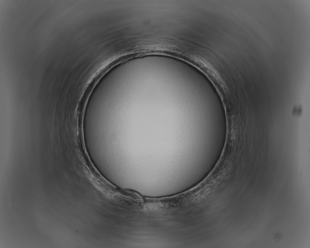 X0000090461031200708031236