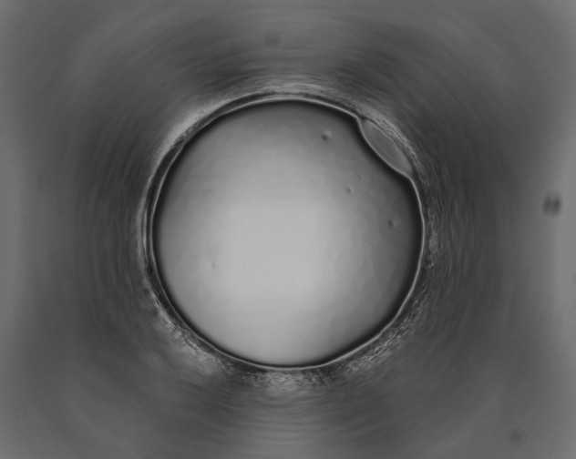 X0000090461032200708031236