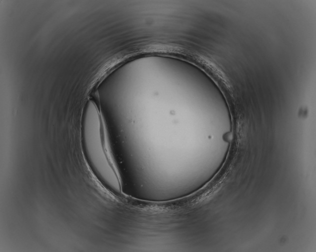 X0000090461033200708031236