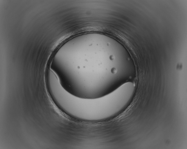 X0000090461034200708031236