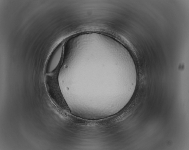 X0000090461035200708031236