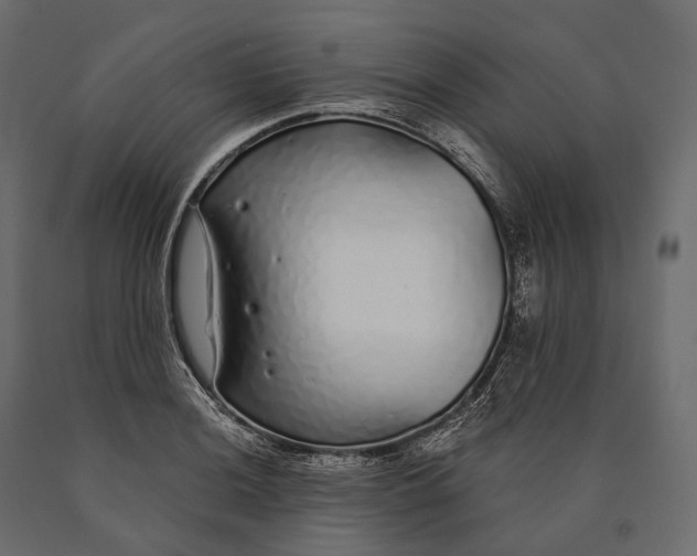 X0000090461036200708031236